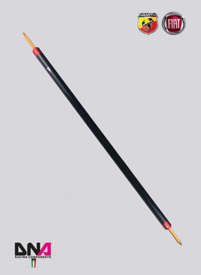 Abarth 500 595 DNA Racing Heckstrebe Carbon