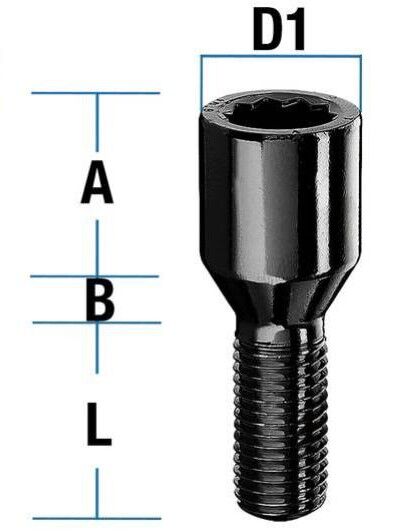 M14x1,5 Sternschraube Kegelbund schwarz verzinkt